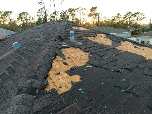 Best Roof Coating and Sealing  in Wilberforce, OH