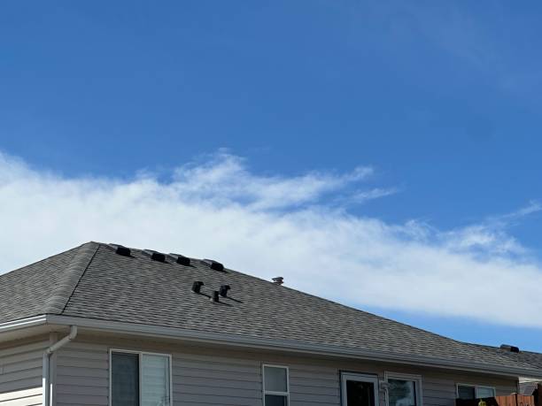 Best Green or Eco-Friendly Roofing Solutions  in Wilberforce, OH